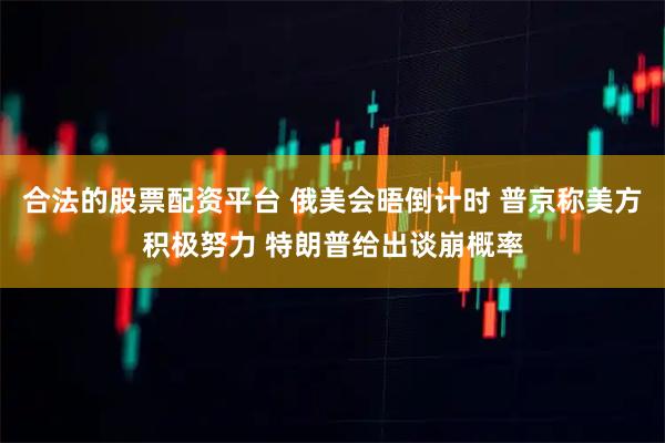 合法的股票配资平台 俄美会晤倒计时 普京称美方积极努力 特朗普给出谈崩概率